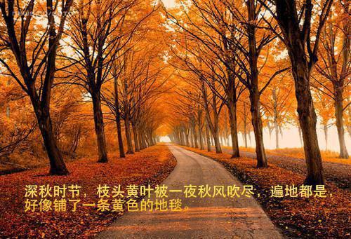 (番外)+(结局)梁明昭沈砚卿（浮灯灿烂一朝：全篇）全文免费阅读无弹窗大结局_(梁明昭沈砚卿)最新章节列表_笔趣阁（浮灯灿烂一朝：全篇）