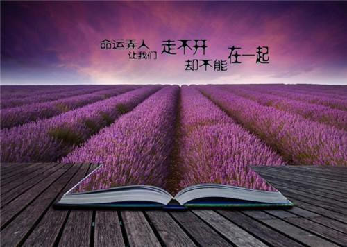 同居校花后，前女友砸钱求复合（程枫何柔清）最新推荐_最新推荐同居校花后，前女友砸钱求复合（程枫何柔清）