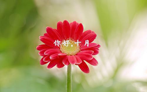 当爱恨如潮生裴叙白乔若梨最新章节列表_当爱恨如潮生裴叙白乔若梨全文免费阅读