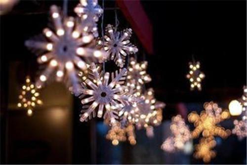 谢诚景的小说月光洒下离人巷：免费谢诚景洛婉雪全文在线阅读