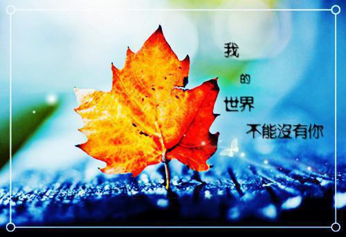 小说温柔痴狂在线阅读谢承谢媛完结版全文免费阅读