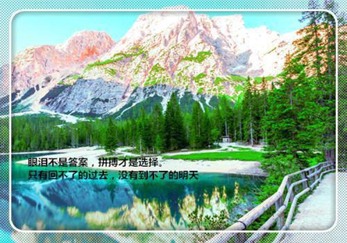 兰因絮果，爱恨全如玉碎：版全文小说谢长乐肖风行小说在线阅读