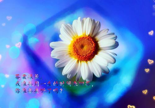 清冷佛子的追妻火葬场：大结局+后续小说温予娇傅潇昱小说清冷佛子的追妻火葬场：大结局+后续小说温予娇傅潇昱 清冷佛子的追妻火葬场：大结局+后续小说小说在哪里可以看温予娇傅潇昱