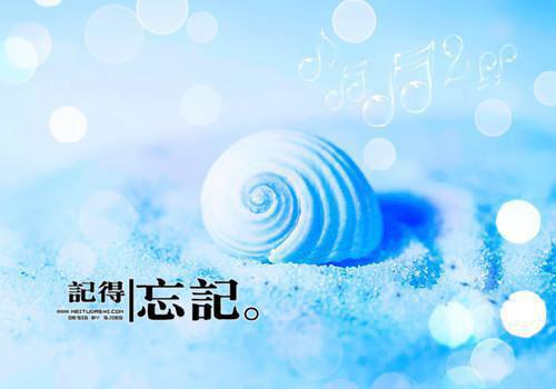 (番外)+(结局)向婉宁顾辞（流年落尽空白首：结局+番外）全文免费阅读无弹窗大结局_(向婉宁顾辞)最新章节列表_笔趣阁（流年落尽空白首：结局+番外）