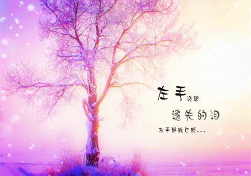 (番外)+(全文)爱已到期不再见：沈知瑶谢君歌沈凌(沈知瑶,谢君歌,沈凌)小说最新列表_爱已到期不再见：沈知瑶谢君歌沈凌(沈知瑶,谢君歌,沈凌)全文阅读无弹窗