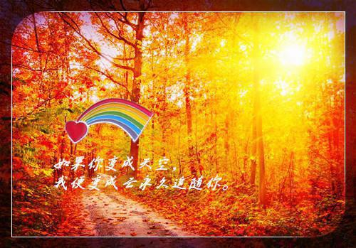 (番外)+(全文)双生姐妹的绝地反杀txt下载阅读_（夏梨陈月雅李明）双生姐妹的绝地反杀最新章节列表_笔趣阁（夏梨陈月雅李明）