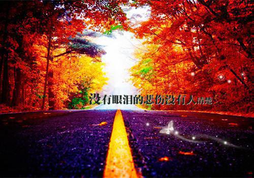 (番外)+(全文)黄泉情难渡：后续+全文txt下载阅读_（叶北宸凤念安）黄泉情难渡：后续+全文最新章节列表_笔趣阁（叶北宸凤念安）
