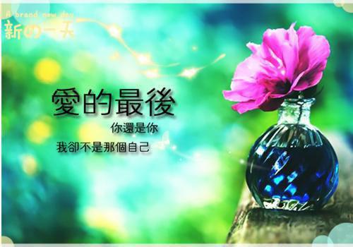 (番外)+(结局)宋家,向宋,阿执（发嗲精编之作）全文免费阅读无弹窗大结局_(宋家,向宋,阿执)最新章节列表_笔趣阁（发嗲精编之作）