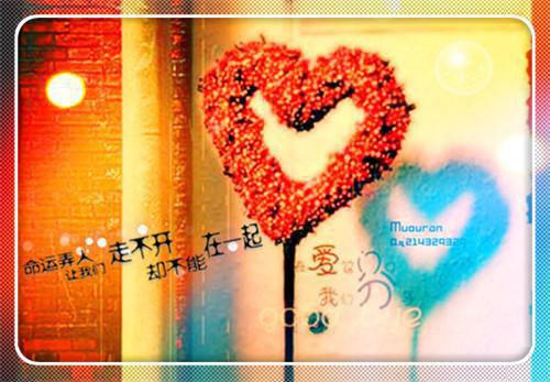 当我不再爱你：前言+后续+结局全文阅读（迟菱陆崇宴）最新章节_当我不再爱你：前言+后续+结局全文阅读