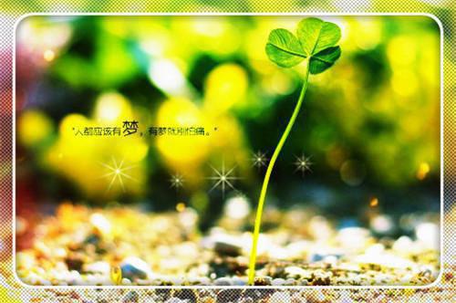 （罗子舟,罗建国,连孩子）离婚改嫁，渣男父子在线阅读最近更新