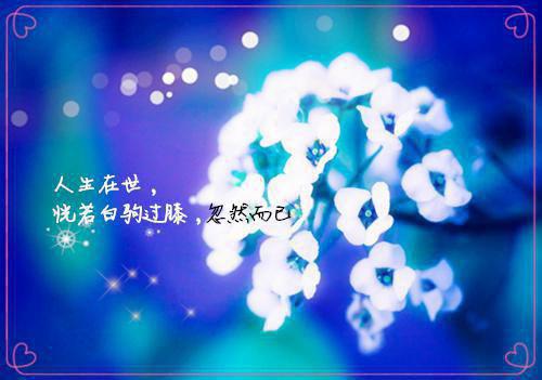 折寒枝簪起霜思：每日分享（沈棠眠宋闻璟）全文免费_（沈棠眠宋闻璟）折寒枝簪起霜思：每日分享后续阅读（沈棠眠宋闻璟）
