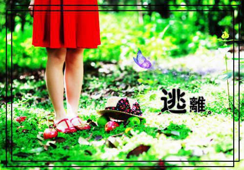 我果断放弃心里没我的知青老婆（连邱姜曼安）全文免费_（连邱姜曼安）我果断放弃心里没我的知青老婆后续阅读（连邱姜曼安）