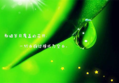 顾晴川陆屿完结版在线阅读_顾晴川陆屿免费阅读全文最新章节列表_顾晴川陆屿全集免费阅读_顾晴川陆屿全文免费阅读无弹窗大结局