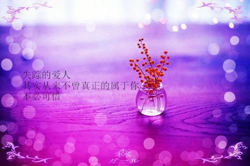 只等南风起，不等故人归：结局+番外纯净版（叶竹君陆时琛）已完结，只等南风起，不等故人归：结局+番外纯净版已完结