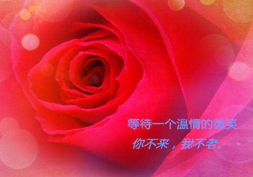 最新章节最狂医圣：开局打脸姐妹花（苏薇,叶家,向叶辰）_最狂医圣：开局打脸姐妹花苏薇,叶家,向叶辰最新章节