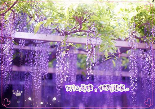 完结文傅景深付妍儿（又名：星落明月在今朝）最新章节列表_完结文傅景深付妍儿（又名：星落明月在今朝）全文阅读