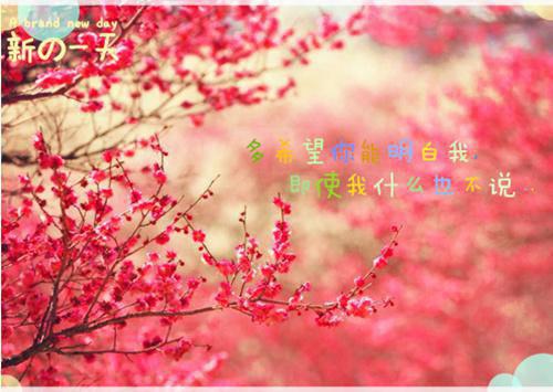此生犹为情难却：结局+后续+完结（洛书韵裴济长）全文浏览_此生犹为情难却：结局+后续+完结全文浏览