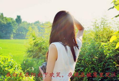 人面桃花长相忆精品选集全文小说阮雾梨闻砚辞小说在线阅读