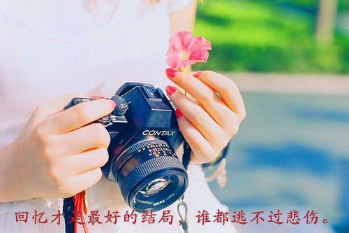 完结文流年落尽空白首：向婉宁+结局最新章节列表_完结文流年落尽空白首：向婉宁+结局全文阅读