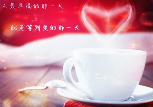 最新章节被渣后才知，我竟是渣男小叔的白月光（花放傅砚沉）_被渣后才知，我竟是渣男小叔的白月光花放傅砚沉最新章节