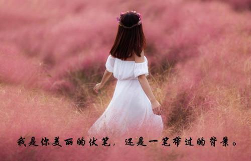 苏倩林霜：全章+结局最新章节_苏倩林霜：全章+结局全文阅读