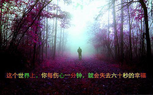 黄泉情难渡内容精选全文小说凤念安叶北宸小说在线阅读