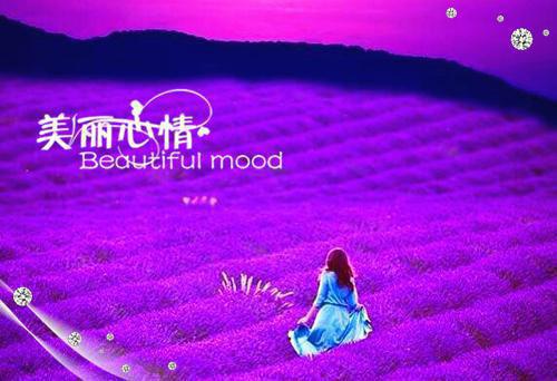 人面桃花长相忆（阮雾梨闻砚辞）已完结，人面桃花长相忆已完结