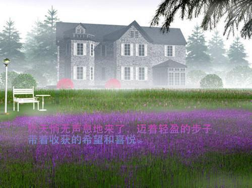 (番外)+(结局)乔妹儿（落花洞不再落花灵魂人物）全文免费阅读无弹窗大结局_(乔妹儿)最新章节列表_笔趣阁（落花洞不再落花灵魂人物）