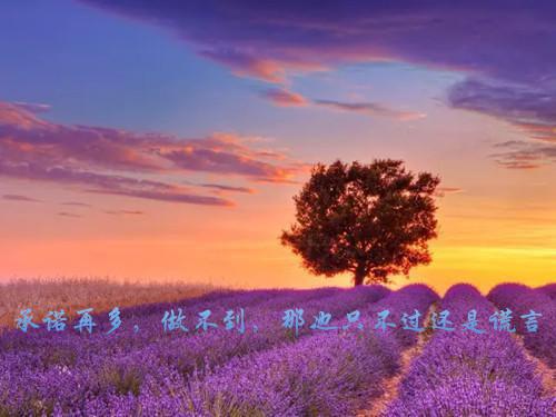 答案前夕，我将自己送进精神病院江疏影江昔念林羽生推荐完本_已完结答案前夕，我将自己送进精神病院（江疏影江昔念林羽生）