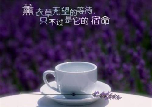 朝云绚丽一瞬：结局+番外独家出品（谢青临苏倾月）已完结，朝云绚丽一瞬：结局+番外独家出品已完结