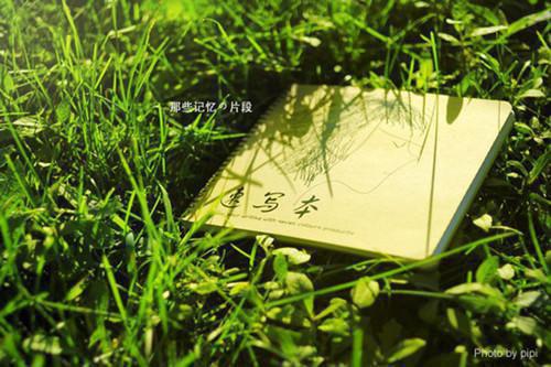 (番外)+(全文)霍向栀陆序尘：结局+番外(陆序尘霍向栀)小说最新列表_霍向栀陆序尘：结局+番外(陆序尘霍向栀)全文阅读无弹窗