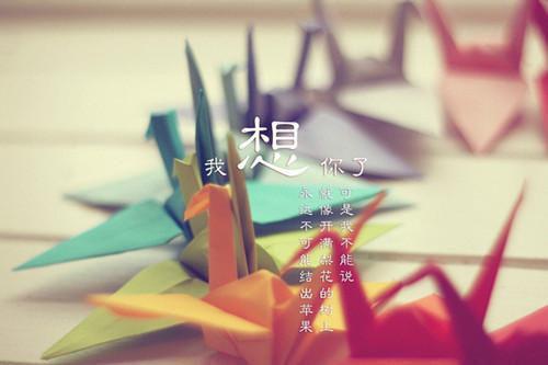 (番外)+(全文)一晚情深到西洲：完本人物讨喜_(一晚情深到西洲：完本人物讨喜)顾晚霍西州最新章节列表_笔趣阁（一晚情深到西洲：完本人物讨喜）