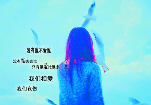 谁与你白头成眷：未删减（陆沉舟沈意欢林青绾）最终终章全书在线下载阅读无干扰