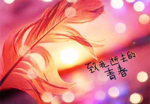 爱终花碎枝枯菱：+完结+后续（林清眠顾司宴）已完结，爱终花碎枝枯菱：+完结+后续已完结
