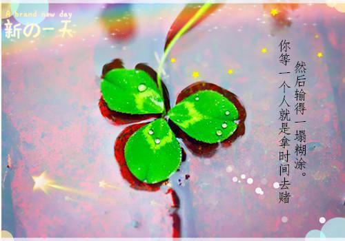 (番外)+(全文)瘦尽灯花又一宵txt下载阅读_(丁暖周晏城)瘦尽灯花又一宵免费阅读全文最新章节列表_笔趣阁（丁暖周晏城）