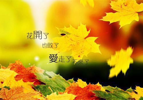 儿子地震被埋时，老公在陪白月光抓娃娃：高分言情最新章节列表_儿子地震被埋时，老公在陪白月光抓娃娃：高分言情全文免费阅读(慕江宇孟婉)