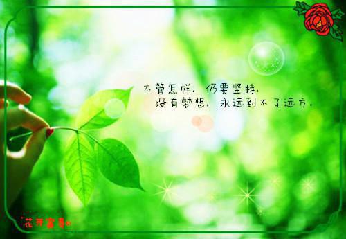 林月鸣的小说二嫁后,我的新任夫君有秘密：书荒林月鸣江升全文在线阅读