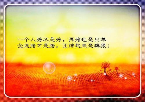 快穿生子，反派更宠谁还要男主啊爽文最新小说（黄毛,夏菁,都快）全文阅读