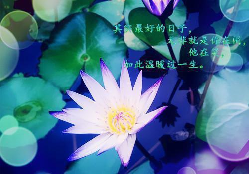(番外)+(全文)浮生烬未践之诺：精选小说推荐txt下载阅读_(秦若兮周泽言秦若彤)浮生烬未践之诺：精选小说推荐最新章节列表_笔趣阁（秦若兮周泽言秦若彤）