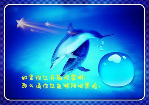 在线品鉴我和女帝有婚约诗萍怜云幼阳初旋推荐完本_已完结在线品鉴我和女帝有婚约（诗萍怜云幼阳初旋）