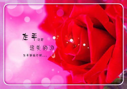 (番外)+(全文)爱悔不由心，来生全文免费阅读无弹窗大结局_爱悔不由心，来生最新章节列表_笔趣阁