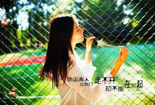 庸俗爱情：结局+番外（苏念温泽言叶玲）全章免费版阅读