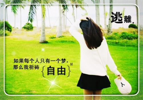 医毒天下：废柴她逆袭成宠宝藏文全文小说凤云瑶赫连宸小说在线阅读
