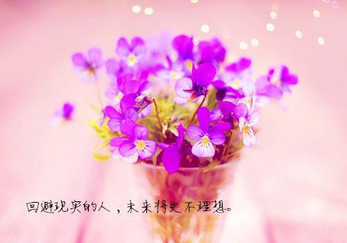 火车出发时，未婚夫为了等白月光不让我们上车：畅读最新小说（梁云陆野梁秀兰）全文阅读