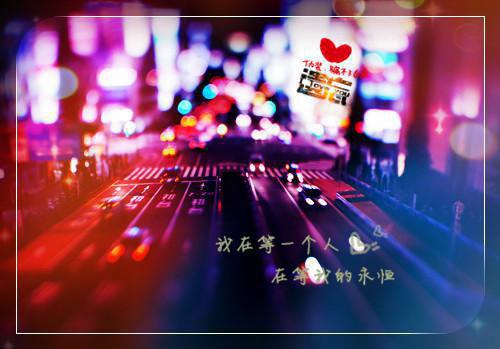 新笔趣阁（唐栖雾靳沉野）不属于海的风：长篇小说隐藏篇章+续集