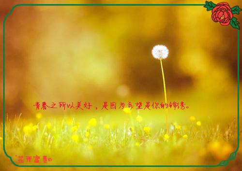 情深红颜劫（楚修麟白宛若）全文免费_（楚修麟白宛若）情深红颜劫后续阅读（楚修麟白宛若）