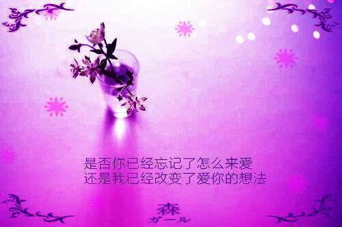 宁妍心陆敬忱全文小说阅读(宁妍心陆敬忱)全本阅读