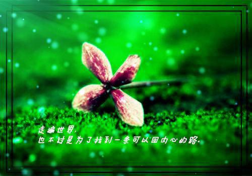 陌上花开遥遥去：全篇（迟雪嫣周靖风）全文免费_（迟雪嫣周靖风）陌上花开遥遥去：全篇后续阅读（迟雪嫣周靖风）