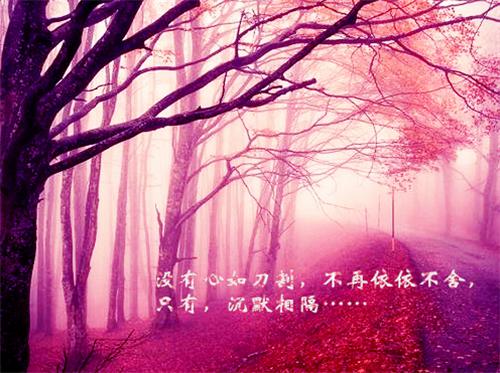 恶毒女修不装了，开局五个道侣全面完结（叶妩林欢欢）全文浏览_恶毒女修不装了，开局五个道侣全面完结全文浏览