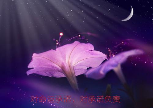 心在荒芜中***：结局+番外在线品鉴（周彦旭谢舒窈）终章阅读无广告